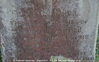 Savernake - photo: 00421