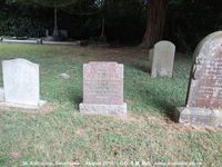 Savernake - photo: 00426