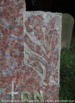 Savernake - photo: 00429