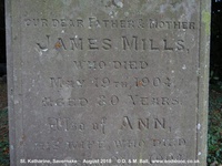 Savernake - photo: 00441