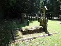 Savernake - photo: 00449