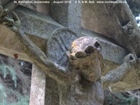 Savernake - photo: 00453