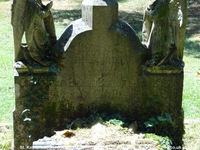 Savernake - photo: 00454