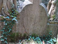 Savernake - photo: 00455