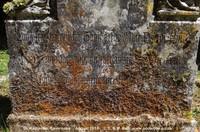 Savernake - photo: 00456