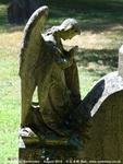 Savernake - photo: 00457