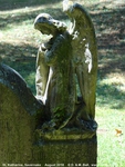 Savernake - photo: 00458