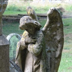 Savernake - photo: 00459
