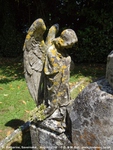 Savernake - photo: 00460