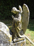 Savernake - photo: 00461