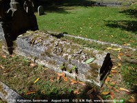 Savernake - photo: 00464