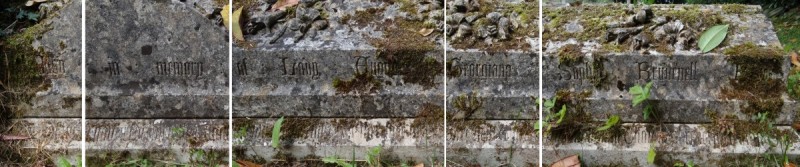 Savernake - photo: 00466
