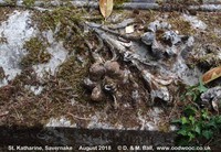 Savernake - photo: 00469