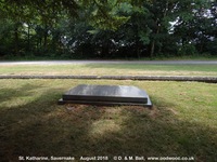 Savernake - photo: 00471