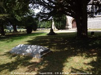 Savernake - photo: 00472