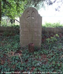Savernake - photo: 00501