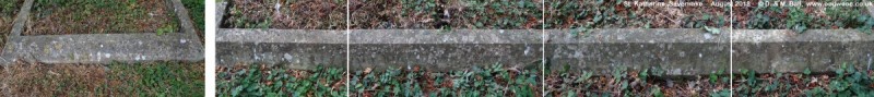 Savernake - photo: 00505