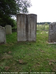 Savernake - photo: 00513