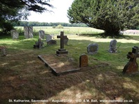 Savernake - photo: 00514