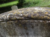 Savernake - photo: 00517