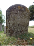 Savernake - photo: 00521