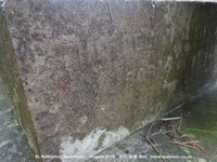 Savernake - photo: 00528