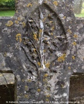 Savernake - photo: 00530