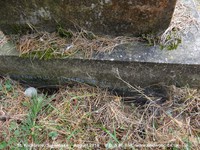 Savernake - photo: 00536