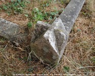 Savernake - photo: 00538