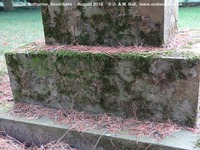 Savernake - photo: 00544