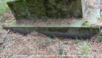 Savernake - photo: 00545