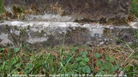 Savernake - photo: 00553