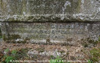 Savernake - photo: 00573