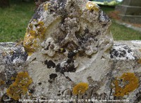 Savernake - photo: 00586