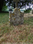 Savernake - photo: 00587