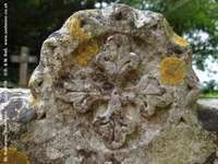 Savernake - photo: 00591