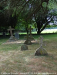 Savernake - photo: 00593