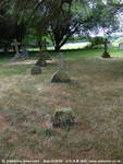 Savernake - photo: 00601