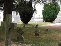 Savernake - photo: 00602