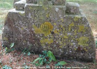 Savernake - photo: 00604