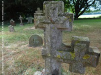 Savernake - photo: 00606