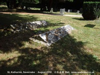 Savernake - photo: 00618