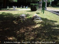 Savernake - photo: 00619
