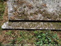 Savernake - photo: 00621