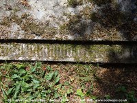 Savernake - photo: 00622