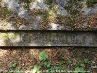 Savernake - photo: 00623