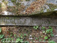 Savernake - photo: 00624
