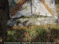 Savernake - photo: 00626