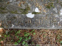 Savernake - photo: 00630