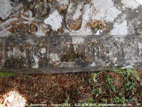 Savernake - photo: 00632